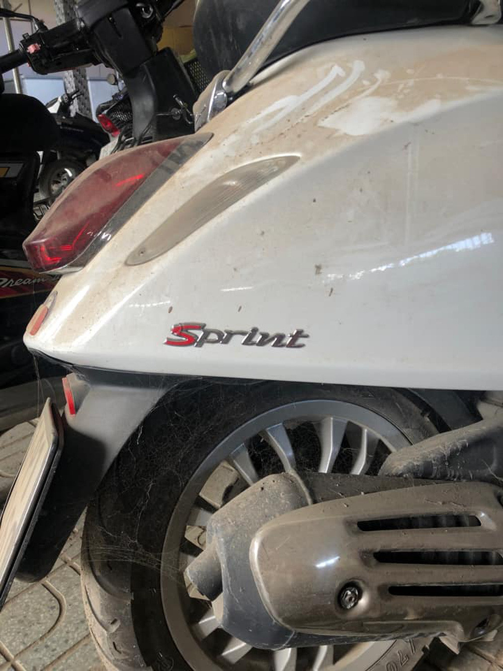 Ngoài hình ảnh cây mọc trên yên xe, trường hợp xe máy bị mạng nhện bám đầy khi để dưới hầm cũng xảy ra phổ biến.