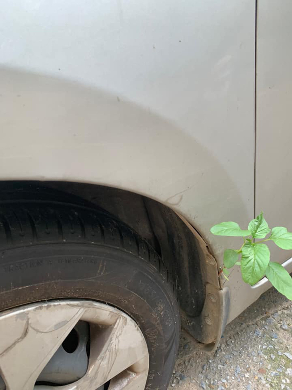 Nhìn những bức ảnh này cũng đủ để thấy rất lâu rồi, chủ nhân của những chiếc xe này không hề động đến.