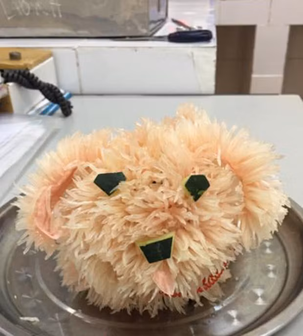 Chú chó bưởi này chỉ cần làm cẩn thận hơn một chút là đẹp hoàn hảo.