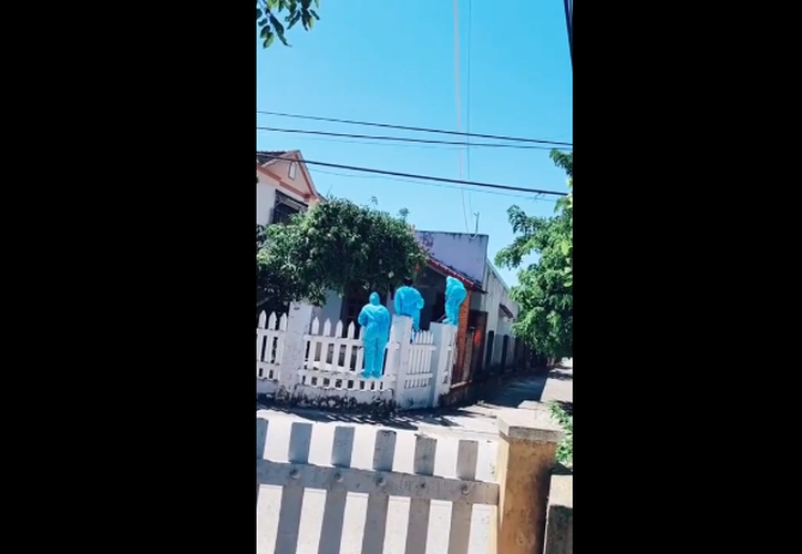 Nhìn thấy cây xoài sai trĩu quả như thế và những tình nguyện viên áo xanh này cũng không bỏ qua cơ hội ngay trước mắt.