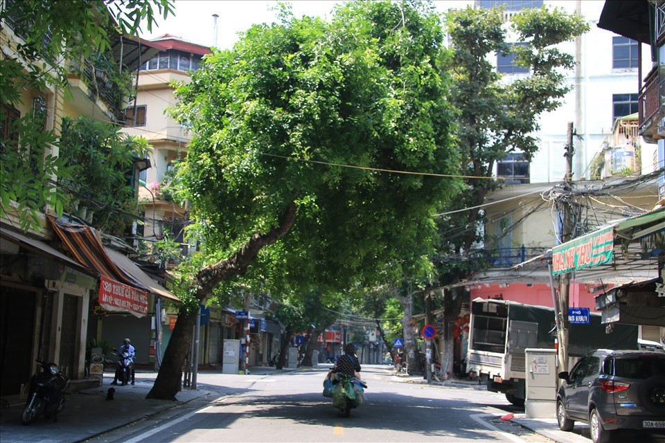 Mùa trăng năm nay còn trở nên đặc biệt khi con phố Hàng Mã vốn tập nập, nhộn nhịp vào mỗi dịp Trung Thu lại vắng lặng đến bất ngờ. Ảnh: Facebook
