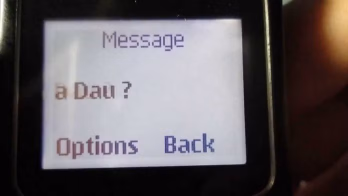 Món đồ tuổi thơ này chỉ là những chiếc điện thoại đen trắng có mỗi chức năng nghe gọi và nhắn tin. Mà bộ nhớ tin nhắn cũng chỉ giới hạn trong vài trăm tin nhắn, nếu nhắn vượt quá số lượng, dung lượng bị đầy và báo phải xóa.