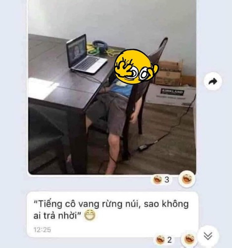 Dù là học trực tuyến tại nhà thế nhưng những cô cậu lớp 1 này vẫn có đủ trạng thái hài hước mỗi lên "lên lớp". Ảnh: Facebook