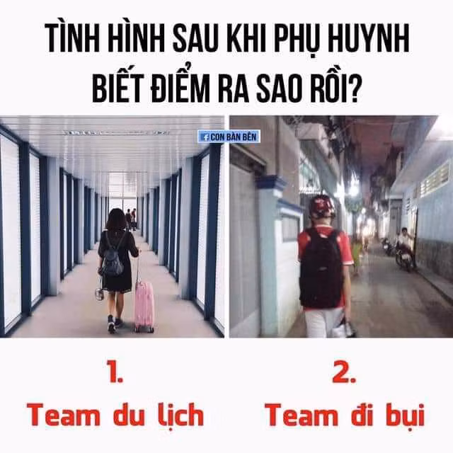 Những màn khoe kết quả đỗ, trượt của các sĩ tử 2k3 vẫn chưa có dấu hiệu dừng lại trên MXH. Nhiều netizen còn trêu đùa nhau với những câu nói hết sức hài hước như: "Xách balo và đi", "Rời nhà đi con", "Còn gì nữa đâu mà khóc với sầu",...trước những điểm số này. Ảnh: Tổng hợp