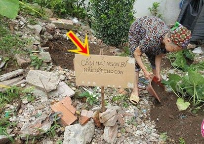 Các các bác nông dân đã phát minh ra rất nhiều cách để chống trộm, mà cách nào cũng vừa độc, vừa lạ. Ảnh: Tổng hợp