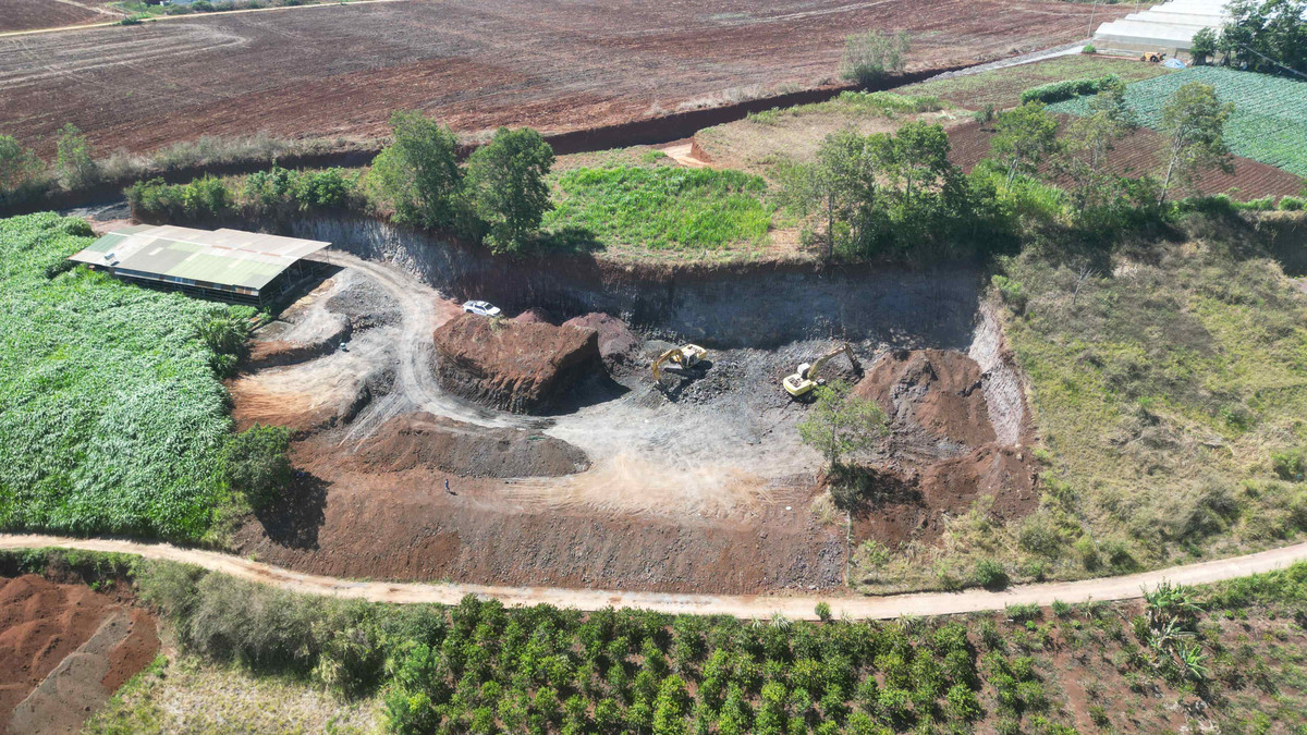 Lam Dong: Yeu cau lam ro thong tin nhieu ngon doi bi dao dat di ban