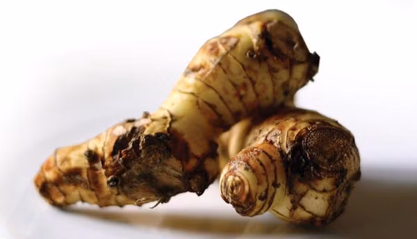  Phòng chống ung thư. Rất nhiều nghiên cứu đã chứng minh trong củ riềng có hoạt chất chống lại các bệnh ung thư. Ảnh: Baotreonline.