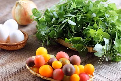 Ngoài những bài thuốc dân gian cụ thể, nhiều nước trên thế giới coi rau càng cua là thần dược trong cuộc sống bởi kháng được nhiều loại bệnh. Ở Phiippines, người ta dùng lá càng cua đắp chữa ung nhọt và vết loét. Ảnh: Caynhalavuon.