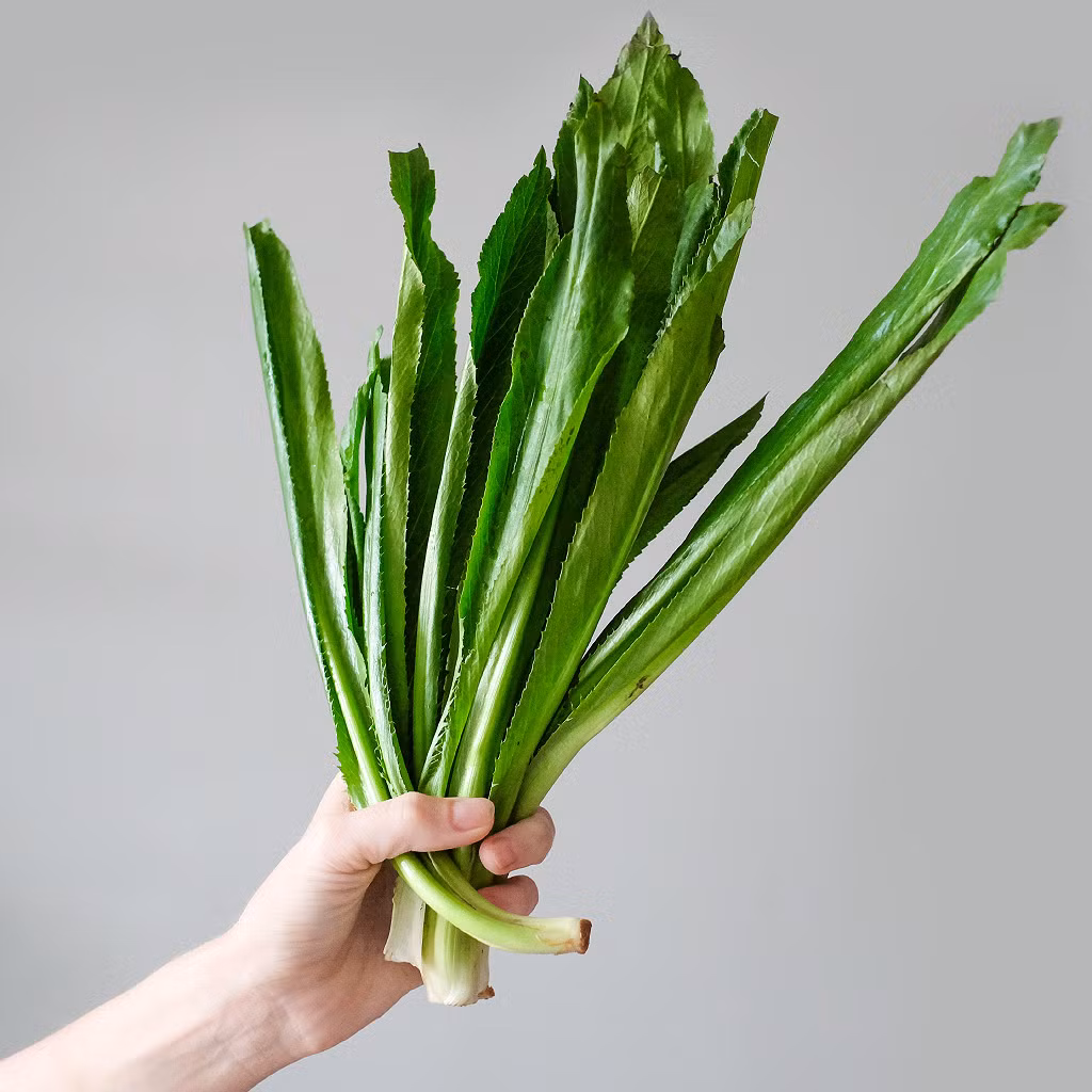 Lý do vì theo y học cổ truyền, mùi tàu có vị the, thơm hắc có công dụng trục hàn tà, khử thấp nhiệt, thanh uế, giải khi trướng, mạnh tỳ vị, và kích thích tiêu hóa. (Nguồn Rausachhaiduong)