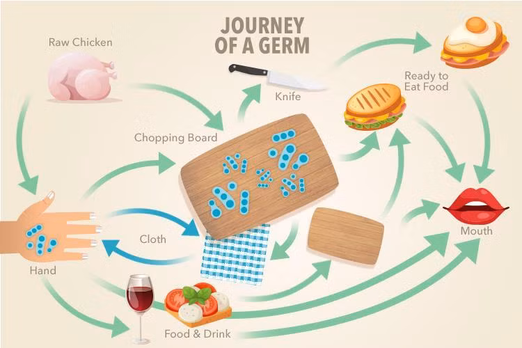  Thớt thái thức ăn có thể dễ dàng bị nhiễm khuẩn cũng như lan toả vi khuẩn đi khắp nơi trong nhà bếp. Việc rửa sạch sau mỗi lần sử dụng cũng không thực sự hiệu quả trong việc làm sạch thớt. Không phải loại xà phòng nào cũng có hiệu quả trong việc tiêu diệt vi khuẩn, thay vào đó, chúng chỉ có chức năng đẩy lùi chúng. (Ảnh: The Sun) 