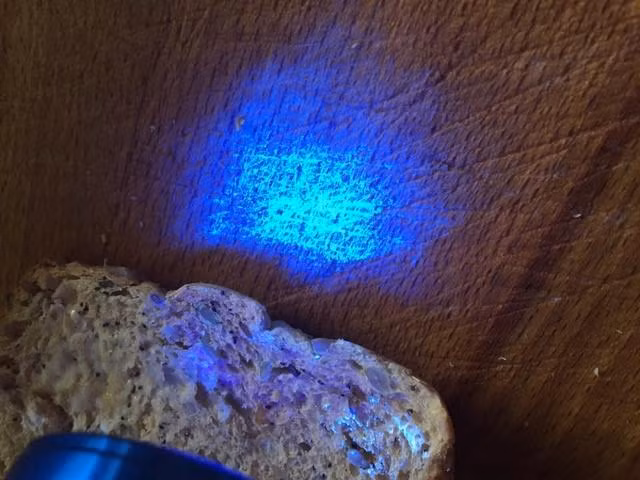 Trên thớt có những vết xước, nứt mà vi khuẩn và mầm bệnh có thể "lẩn trốn" trong đó. Bác sĩ người Anh chuyên về vấn đề vệ sinh Lisa Ackerley đã tiết lộ rằng: “Việc không thường xuyên thay thế thớt gây nguy hiểm cho sức khoẻ. Thớt là một nguồn lây nhiễm chéo vô cùng nguy hiểm nếu không được làm sạch đúng cách, bảo quản và sử dụng hợp lý, cũng như là thay thế do hao mòn.” (Ảnh: The Sun)