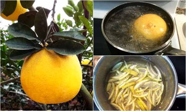 Uống nước luộc bưởi trong vòng một tuần có thể giúp bạn thay đổi vóc dáng đáng ngạc nhiên. Thật không ngoa khi nói nước luộc bưởi là thứ nước “thần thánh” giúp giảm cân hiệu quả với chị em phụ nữ. (Nguồn Blogtamsu)