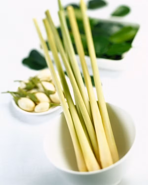 Cây sả chứa hàm lượng lớn chất chống oxy hóa, vì vậy xông hơi da mặt với sả sẽ giúp đào thải cặn bã từ lỗ chân lông cũng như tiêu diệt vi khuẩn rất hiệu quả. (Nguồn Afamilycdn)