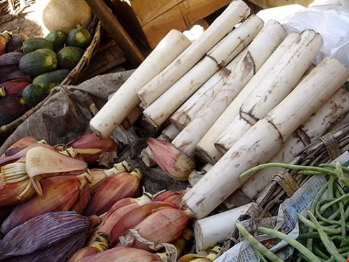 Người bị viêm đường tiết niệu có thể uống một hoặc hai ly nước ép thân chuối mỗi ngày. (Nguồn Infonet)