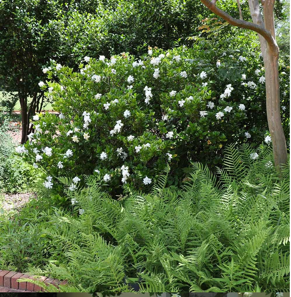 Màu trắng và màu ánh kim là những màu bản mệnh của người mệnh Kim.