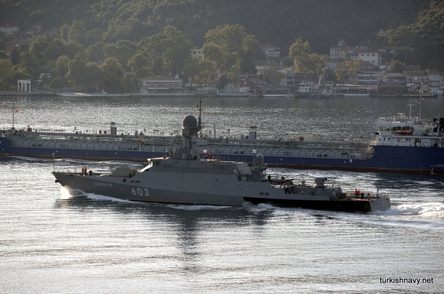 Hỏa lực phòng không của tàu gồm 2 bệ phóng tên lửa tầm thấp Igla-1M với cơ số 8 quả, cho khả năng tiêu diệt mục tiêu bay từ khoảng cách 5,2 km, độ cao tác chiến tối đa 3,5 km.