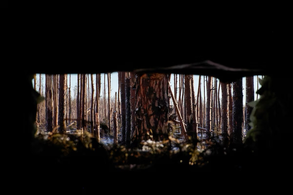 Khung cảnh nhìn từ hầm, hào cho thấy cây cối gần thị trấn Kreminna, miền đông Ukraine bị hư hại nghiêm trọng do vô số mảnh bom đạn.