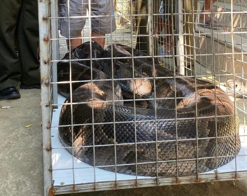 Can canh tran “khung” nang gan 1 ta duoc tha ve tu nhien