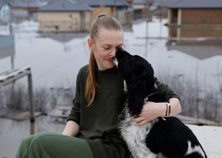 Người dân địa phương Yevgenia Perednya âu yếm chú chó cưng khi cô cùng gia đình trốn lũ lụt trên nóc ngôi nhà đang xây dở ở khu định cư Ivanovskoye.