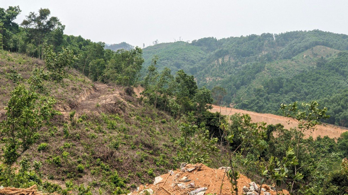 "Tuýt còi" doanh nghiệp san ủi trái phép rừng tự nhiên ở Quảng Trị Đơn vị thi công đã san ủi diện tích rừng sai quy định (ảnh minh hoạ)