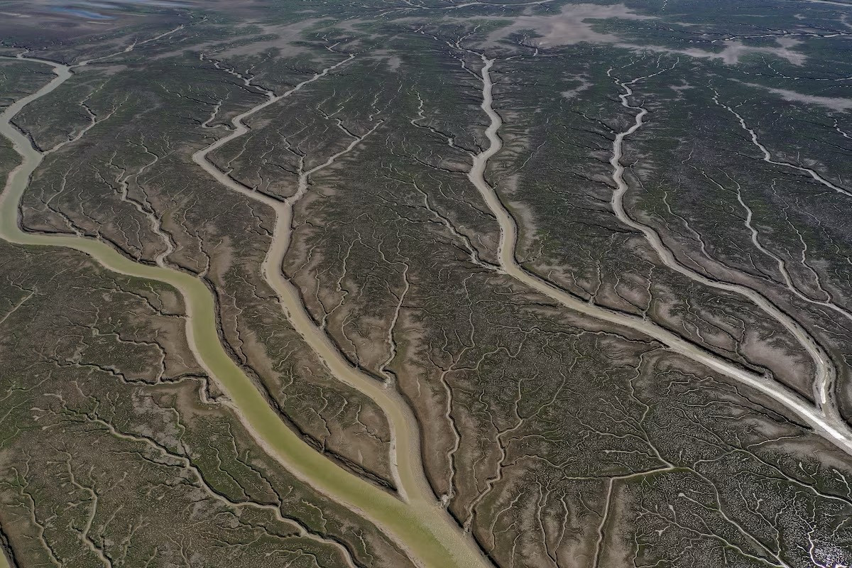 Quang cảnh một khu vực phân nhánh bị cạn nước của dòng sông Shatt Al-Arab, ở Basra, Iraq.