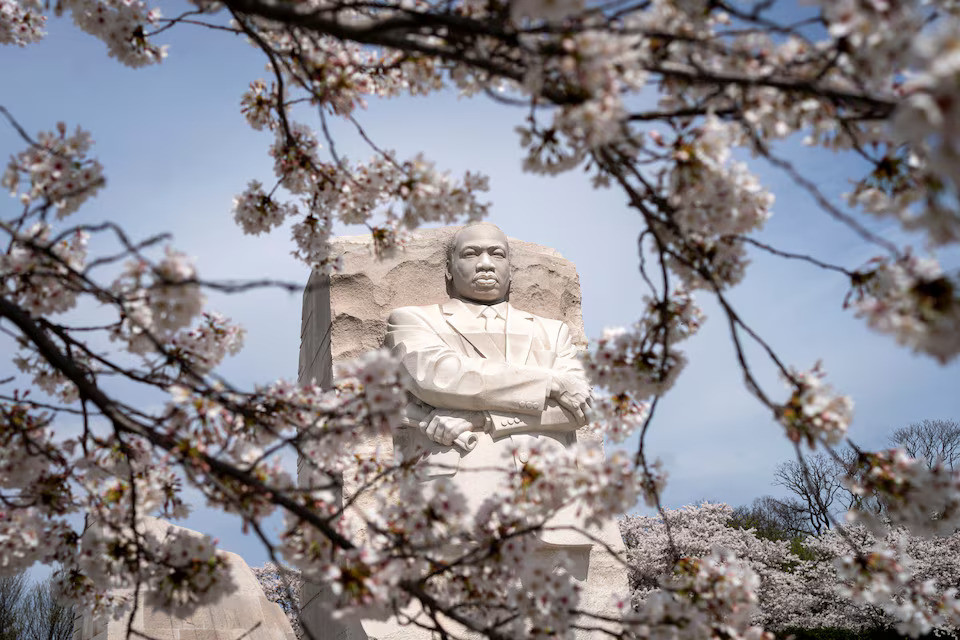 Đài tưởng niệm Martin Luther King Jr. sau những khóm hoa ven hồ Tidal Basin, Washington, Mỹ, ngày 19/3.