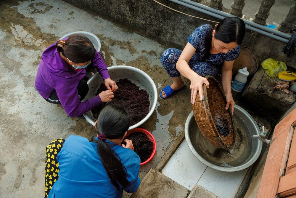 Rau sau khi được làm sạch sẽ cho vào nồi, gia giảm mì chính, bột nêm và hông chín. 