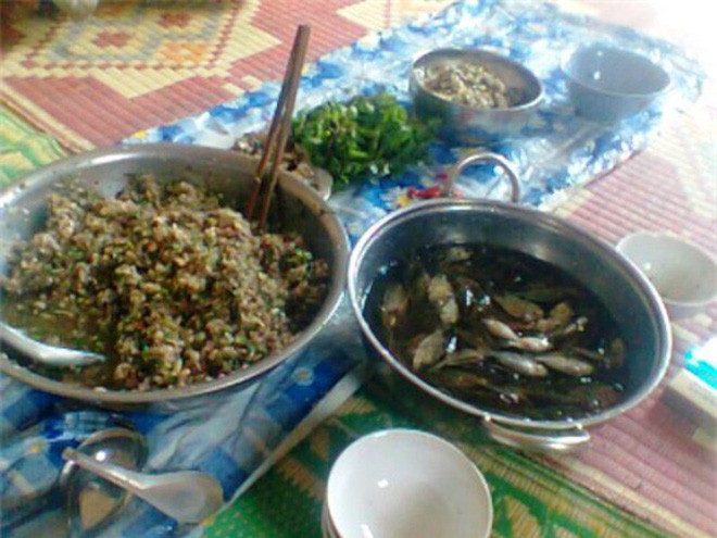 Cá dùng để chế biến món này thường là loại cá chép con nuôi ở ao tự nhiên, hoặc bắt trực tiếp tại suối nguồn, xa khu dân cư mới đảm bảo. Khi bắt về, cá vẫn phải còn tươi sống, chọn ngay những con có kích thước bé bằng ngón tay cái của người lớn rồi thả vào chậu nước muối sạch, để cá tự bơi và tiết hết chất bẩn trong người ra. Sau đó, người ta sẽ mang cá ra rửa lại bằng nước muối nhạt thêm một lần nữa.