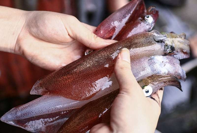 Mực nhảy sống ở Vũng Áng: Ở vùng biển Vũng Áng, Hà Tĩnh nổi tiếng với món mực nhảy tươi ngon. Có rất nhiều cách chế biến mực nhảy, nhưng đơn giản nhất là mực để nguyên con, vớt lên từ lồng, rửa sạch, bỏ hết nội tạng, thái miếng, vắt chanh ướp một lúc để mực ngấm đều. Sau đó gắp miếng mực còn tươi, chấm một chút mù tạt và cho vào miệng thưởng thức ngay.