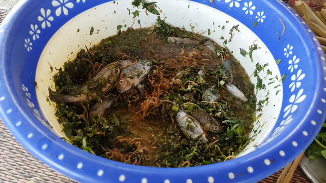 Không giống với cách ăn các món cá là đem chiên, rán, ở Sơn La sẽ bắt từng chú cá nhỏ trong chậu, dùng dao nhỏ khía nhanh vào bụng cá, nặn ruột bỏ đi rồi đặt xuống hỗn hợp ăn kèm. Đặc biệt, phải làm thật nhanh tay để cá vẫn sống, khi thả vào miệng còn giãy được.