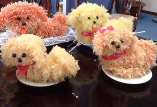 Bưởi mua về gọt vỏ, tách múi và lộn ngược phần vỏ vào trong để phần tép bưởi lộ ra bên ngoài. Dùng tăm tẽ cho các tép bưởi tơi ra rồi gắn lên khung hình đã chuẩn bị sẵn. Lần lượt gắn múi bưởi lên cho đến khi che kín phần khung. Sau đó bạn chỉ cần gắn hạt nhãn vào làm mắt và mũi cho chú chó bưởi.