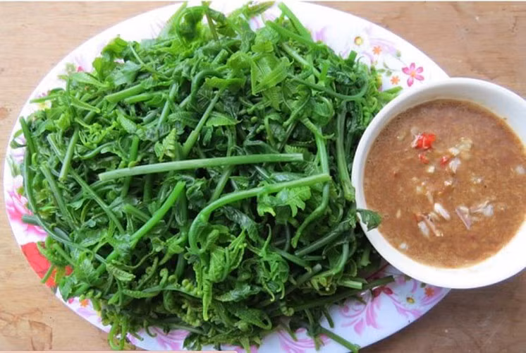 Cách chế biến rau dớn khá đơn giản, bạn có thể chế biến rau dớn thành món nộm rau dớn gà áp chảo hoặc rau dớn xào mẻ, thịt bò.