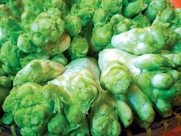 Rau mầm đá: Rau mầm đá chỉ phát triển ở những vùng có khí hậu lạnh, trên các vùng núi cao phía Bắc, đặc biệt là ở Sa Pa (Lào Cai). Cây mầm đá khá to, nặng từ 1 - 2 kg.