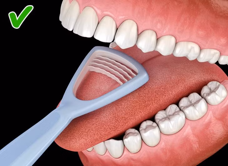 Lưỡi: Lưỡi cũng cần được làm sạch thường xuyên như răng. Theo các chuyên gia, cạo lưỡi là cách hiệu quả nhất để làm sạch. Đặt một chiếc cạp ở phía trong lưỡi rồi từ từ kéo về phía trước.