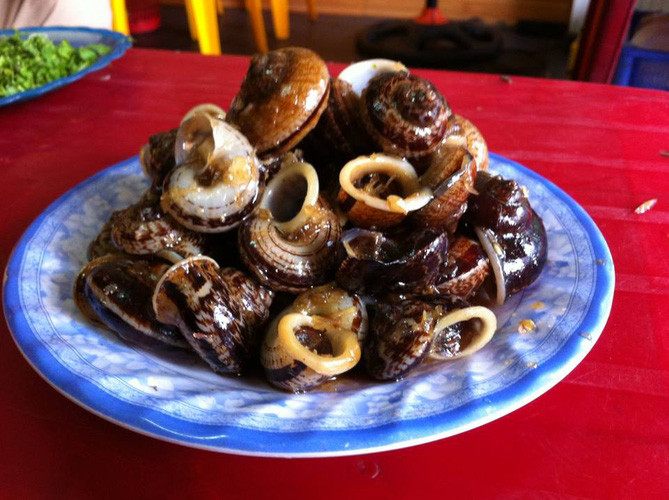 Nếu như trước kia ít người biết đến món ốc núi đá, thì giờ đây món ốc núi đã trở thành lựa chọn của rất nhiều thực khách, nhất là dân nhậu đam mê ẩm thực dân tộc dân dã. Thịt ốc núi dai, giòn, ngọt.