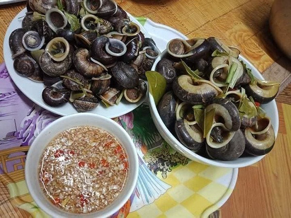 Nhiều du khách khá thích thú với món ăn từ ốc núi đá. Tuy nhiên, cũng không ít thực khách lắc đầu e rè, kinh hãi trước món ăn này, do nghĩ rằng đây là một loài động vật thân mềm có chất nhầy rất kinh dị tạo cho con người ta cảm giác sợ hãi.