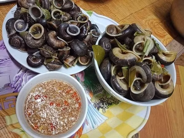Nhiều du khách khá thích thú với món ăn từ ốc núi đá. Tuy nhiên, cũng không ít thực khách lắc đầu e rè, kinh hãi trước món ăn này, do nghĩ rằng đây là một loài động vật thân mềm có chất nhầy rất kinh dị tạo cho con người ta cảm giác sợ hãi.