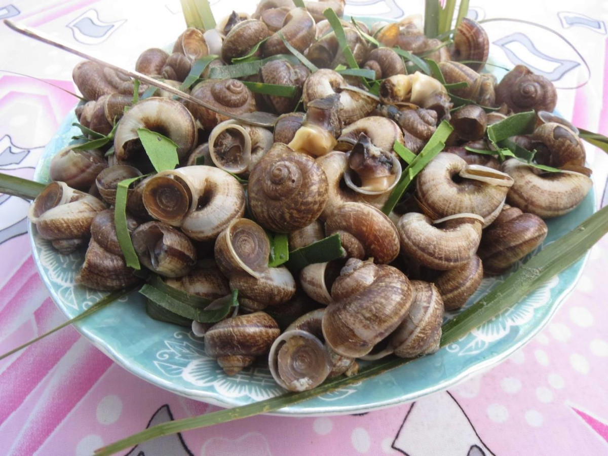 Khi ăn ốc núi nên ăn cả con không cần bỏ ruột, lúc ăn nhai chậm và kỹ mới cảm nhận được vị mát lành, thơm mùi thuốc Bắc. Có lẽ chính cái vị ngọt thanh, chút hương lá rừng là lạ đã làm thực khách mê mẩn với món đặc sản ốc núi đá này. Ảnh: Internet.