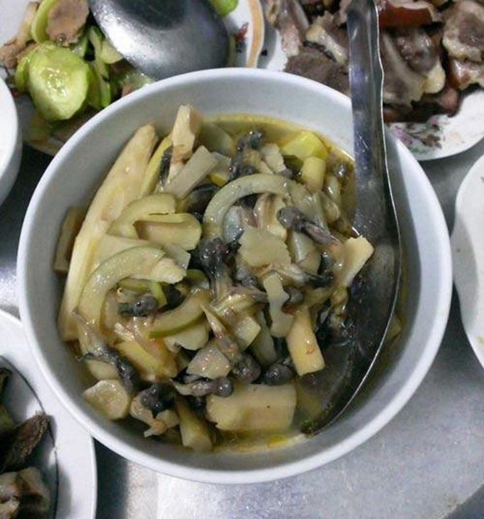 Nòng nọc xào măng: Nòng nọc sau khi được bắt về và rửa sạch, người ta sẽ dùng dao để lấy phần ruột ra rồi mang chế biến bằng cách nấu canh, xào sả ớt, nướng,… Nhưng nổi tiếng nhất là món nòng nọc om măng. Nguyên liệu sử dụng cho món ăn "kinh dị" này là măng rừng tươi, nòng nọc bắt sống, mẻ, hành lá được cho vào theo đúng thứ tự rồi xào chung.