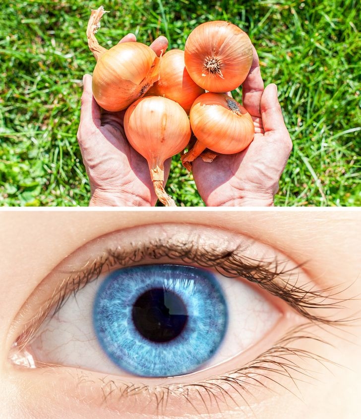 Cải thiện thị lực, bảo vệ răng miệng: Hành tây có đặc tính tiêu diệt vi khuẩn có hại và làm sạch răng miệng. Với đặc tính kháng khuẩn, hành tây cũng giúp làm chắc răng. Ngoài ra, quercetin trong thực phẩm này cũng có tác dụng chống lại bệnh đục thuỷ tinh thể và giữ cho đôi mắt của bạn luôn khoẻ mạnh.