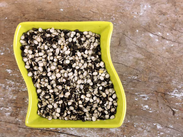 8. Đậu lăng đen: Thực phẩm này chứa một chất chống oxy hóa mạnh được gọi là axit gallic. Một nghiên cứu đã chỉ ra rằng lớp vỏ hạt của đậu lăng đen có chứa một số lượng lớn chất flavonoid có tác dụng chống oxy hóa.