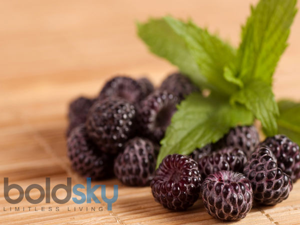14. Quả mâm xôi đen Quả mâm xôi đen có nhiều chất chống oxy hóa và ngọt hơn nhiều so với quả mâm xôi đỏ. Các polyphenol chính trong trái cây bao gồm anthocyanins và axit phenolic chịu trách nhiệm cho hoạt động chống oxy hóa cao của chúng. Quả mâm xôi đen ngăn ngừa nguy cơ mắc các bệnh ung thư đại tràng, ruột kết và tuyến tiền liệt. Ảnh: Boldsky. 