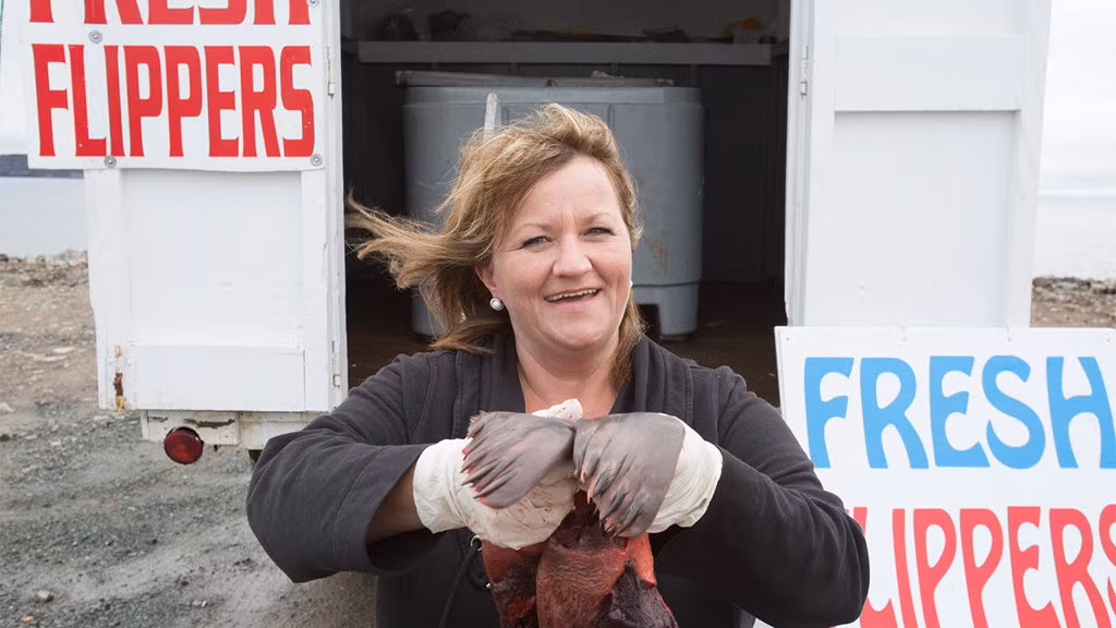 Vây hải cẩu: Vây hải cẩu được cắt và ngâm sữa, sau đó đem muối. Vị của món này ngọt ngọt, chua chua và hơi nhớt nhớt.