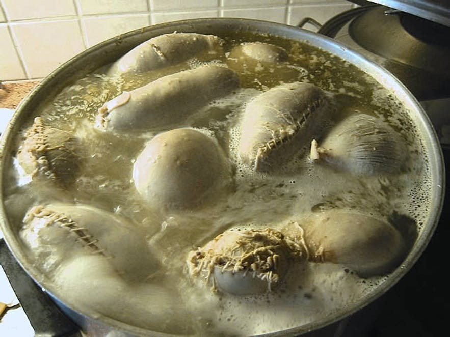 Slatur: Được làm từ nội tạng cừu, món ăn truyền thống Iceland này có hai dạng, một là dồi huyết và hai là xúc xích gan màu trắng. Phiên bản xúc xích gồm nội tạng băm nhỏ được cho vào trong dạ dày cừu, phết mỡ lợn rồi luộc hoặc muối trong nước đông của sữa chua.