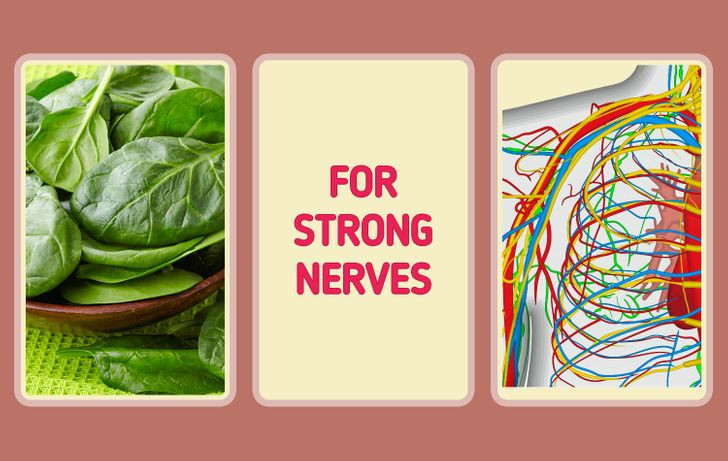 Rau bina (cải bó xôi): Đây là thực phẩm quen thuộc trong thực đơn giảm mỡ, tăng cơ. Ngoài ra, loại rau này còn cung cấp hàm lượng magie cao, giúp cải thiện chức năng thần kinh, tăng cường sức khỏe tim mạch và ổn định huyết áp.