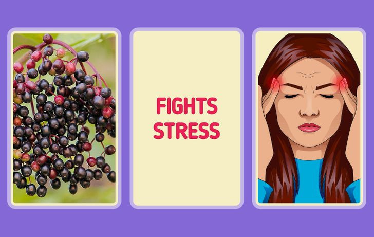 Quả cơm cháy: Quả cơm cháy chứa nhiều chất chống oxy hóa, vừa giúp chống lão hóa, vừa hỗ trợ giảm stress hiệu quả.