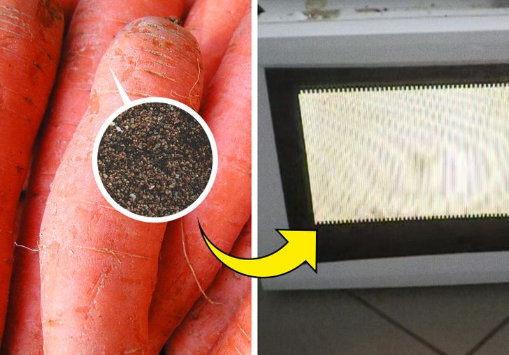 Cà rốt: Mặc dù cà rốt có thể được nấu chín và hâm nóng bằng lò vi sóng, nhưng cà rốt sống, đặc biệt là những loại vẫn còn vỏ có thể tiềm ẩn nhiều nguy cơ. Nếu cà rốt không được rửa đúng cách và còn cặn bẩn, các khoáng chất trong đất có thể gây ra tia lửa, gây hư hỏng nghiêm trọng cho lò vi sóng của bạn nếu nó liên tục xảy ra.
