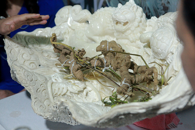 Sam Ngoc Linh 100 tuoi 500 trieu: Co phai than duoc, “khac tinh” moi virus?