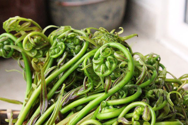 Để thưởng thức đặc sản Hậu Giang dân dã, người ta sẽ vào các khu vực rừng hay ven sông để chọn những đọt non của dây choại để hái. Phần đọt của nó khá mảnh, đầu uốn cong nhìn rất giống dương xỉ. Hái vào mùa mưa thì đọt non hơn, không có vị chát như mùa nắng. Dùng rau này ăn sống, luộc, nấu canh hay xào đều rất ngon.