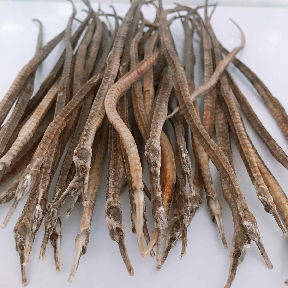 Chữa cho người già yếu suy nhược: Hải long tươi làm gỏi với lá đinh lăng, hành tây, rau thơm, gia vị vừa đủ, hoặc bài hải long tươi nấu cháo với gạo thơm cho thêm tiêu, hành, gia vị vừa đủ ăn tuần vài lần.